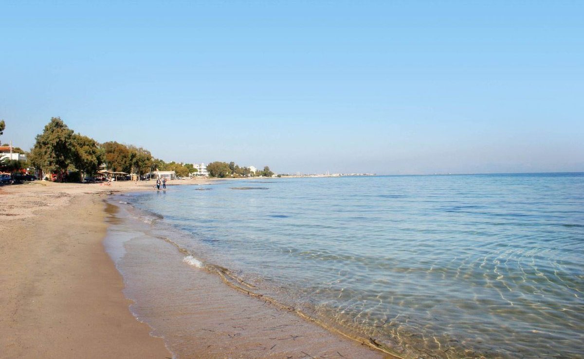 Λούτσα παραλία Αρτέμιδα Αττική